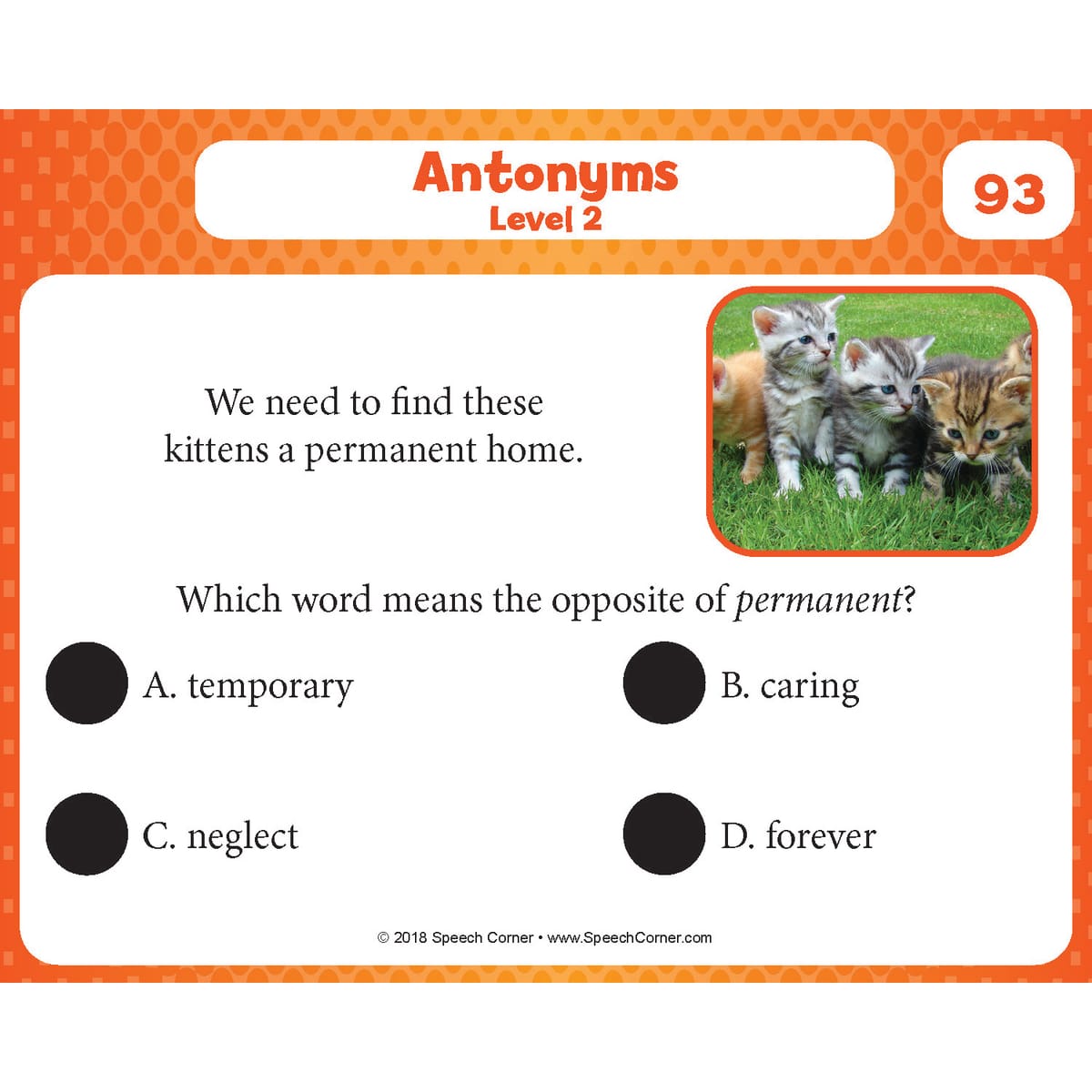Spot On! Synonyms & Antonyms Bundle (SC-610, 615, 665) - Image 6