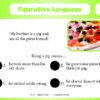 Spot On! Figurative Language-4110
