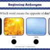 Spot On! Beginning Synonyms & Antonyms-4195