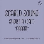 Bjorem Speech Sound Cues **The 2nd Edition will ship at a later date ...