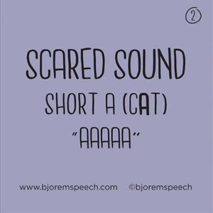 Bjorem Speech Sound Cues **The 2nd Edition will ship at a later date ...
