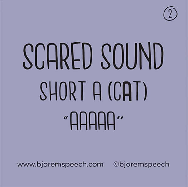 Bjorem Speech Sound Cues-5387