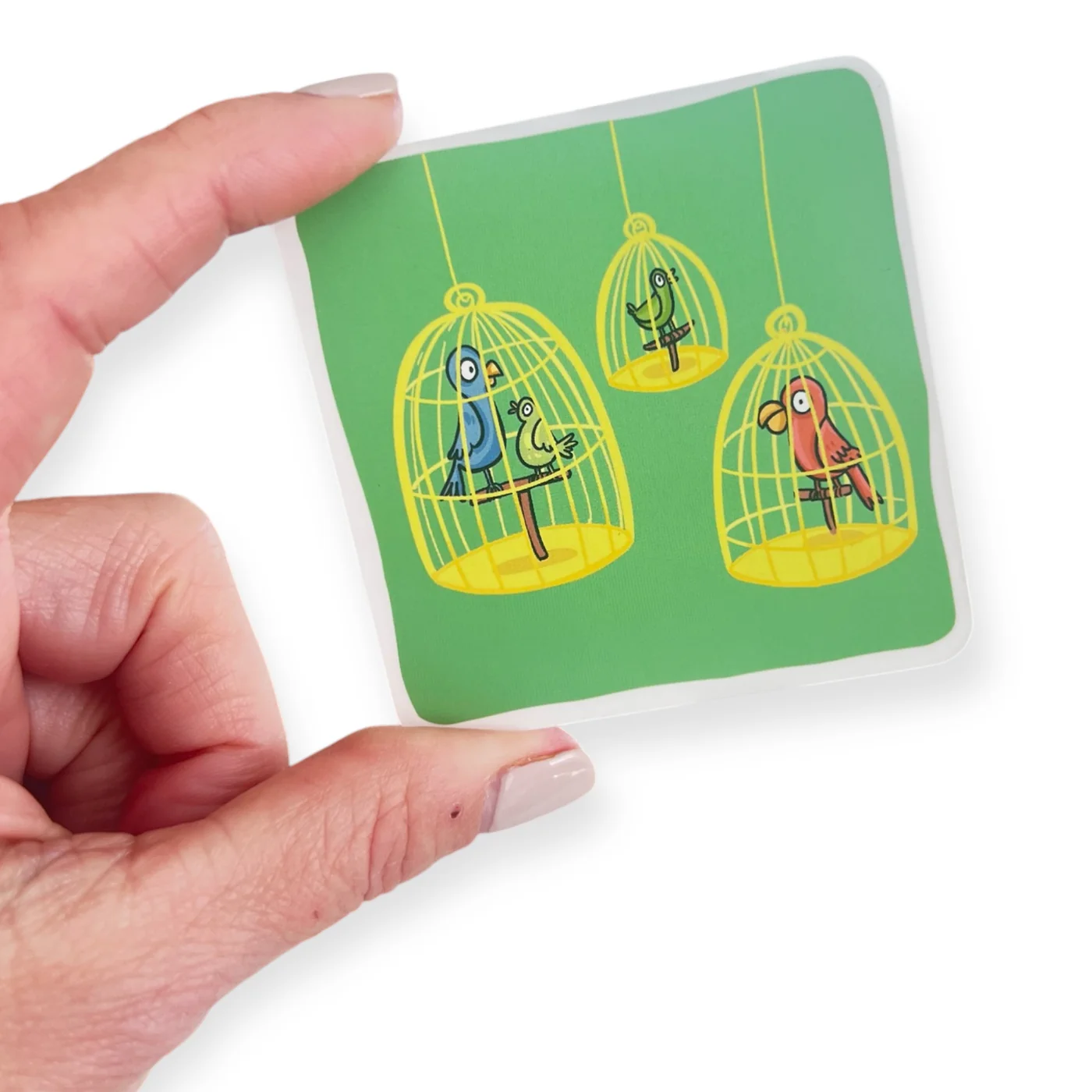 Bjorem Box of CH, SH, and J Bundle - Image 12