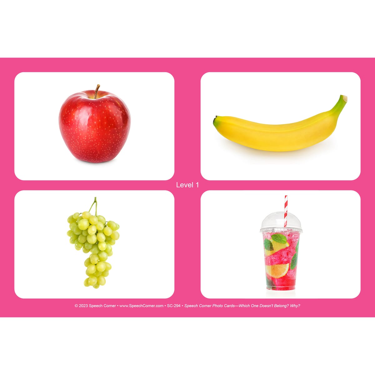 Speech Corner Photo Card Bundle— Categories (SC-201, SC-203, SC-294) - Image 13