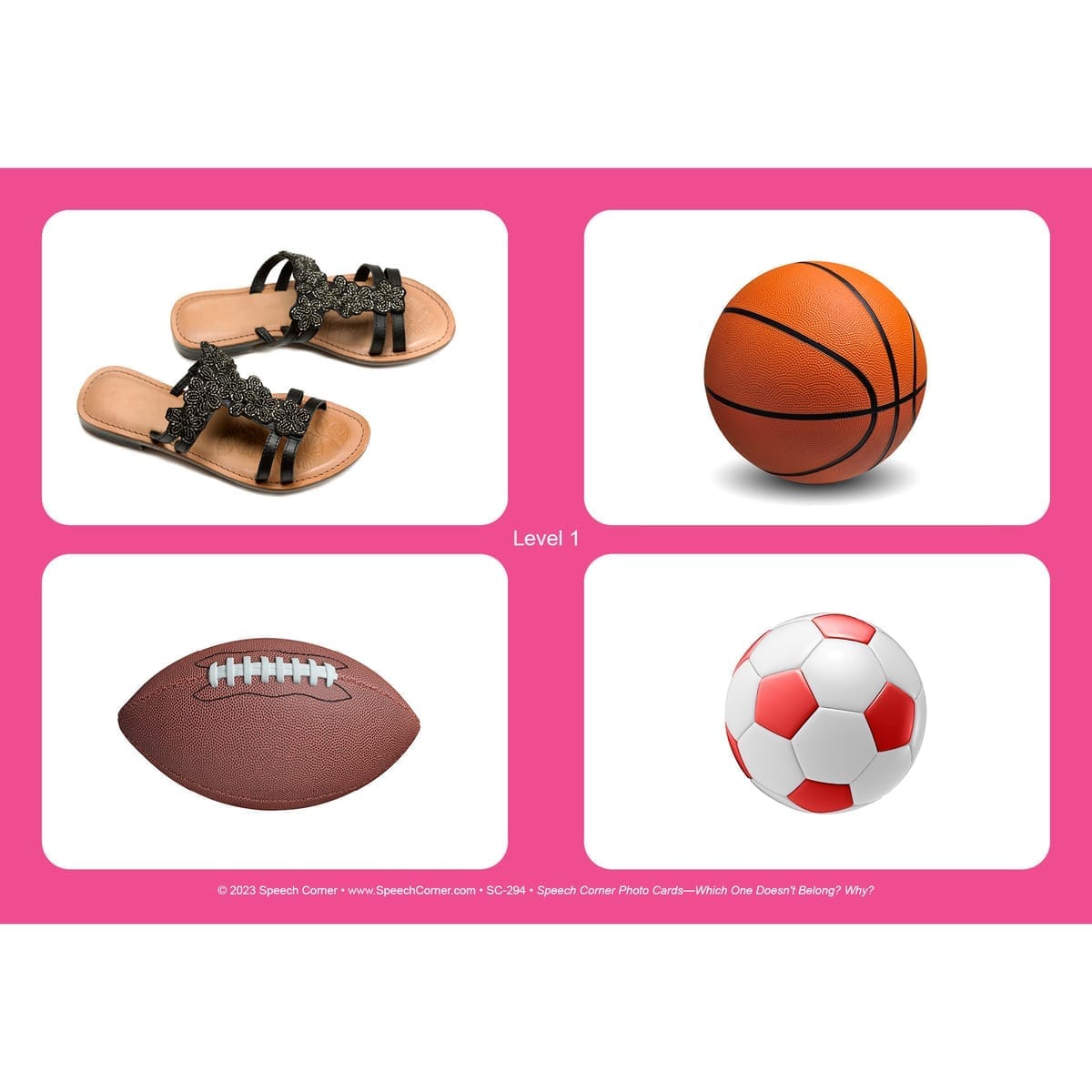 Speech Corner Photo Card Bundle— Categories (SC-201, SC-203, SC-294) - Image 11