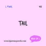 Bjorem Box of W/H and L Bundle - Speech Corner