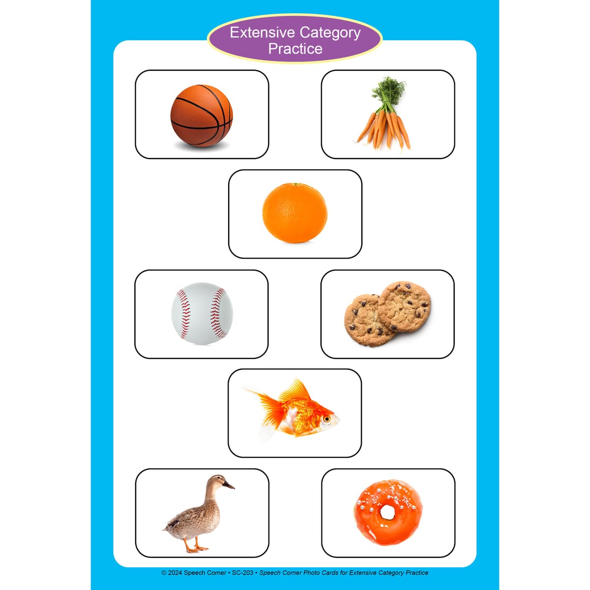 Speech Corner Photo Card Bundle— Categories (SC-201, SC-203, SC-294) - Image 9