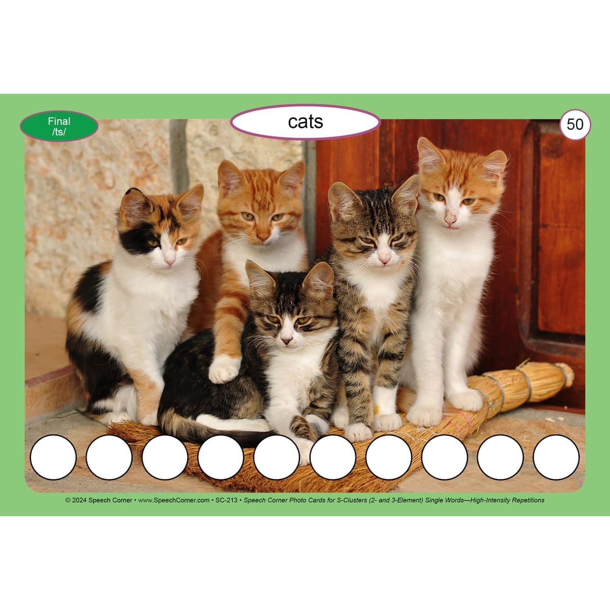 Speech Corner Photo Cards for S-Clusters 2- and 3-Element— Single Words (High-Intensity Repetitions) - Image 7