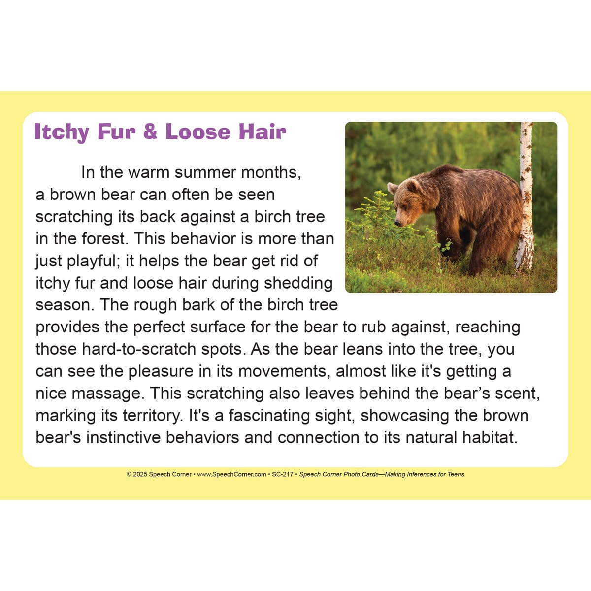 Speech Corner Photo Card Bundle - Adults & Teens (SC-216, 217, 219) - Image 7