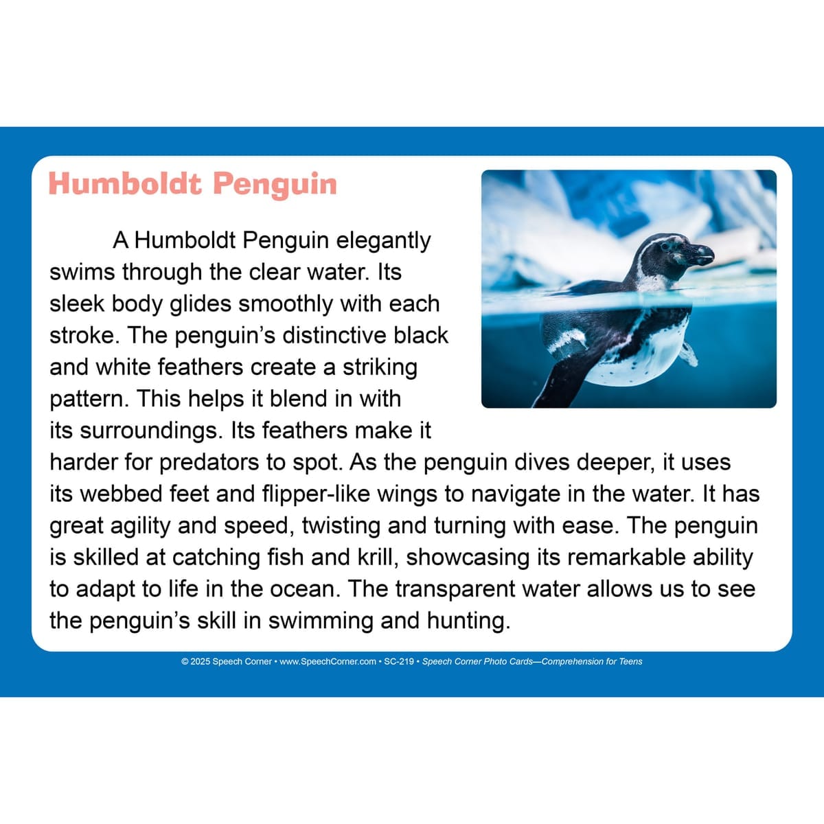 Speech Corner Photo Card Bundle - Adults & Teens (SC-216, 217, 219) - Image 13