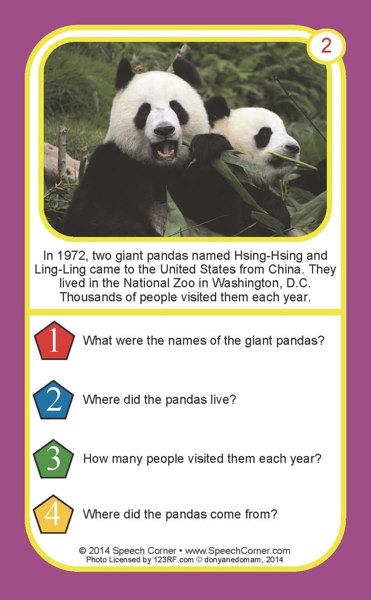 Auditory Comprehension Non-Fiction Double Dice Add-On Deck **Damaged/Dented Product – Web Only** - Image 4