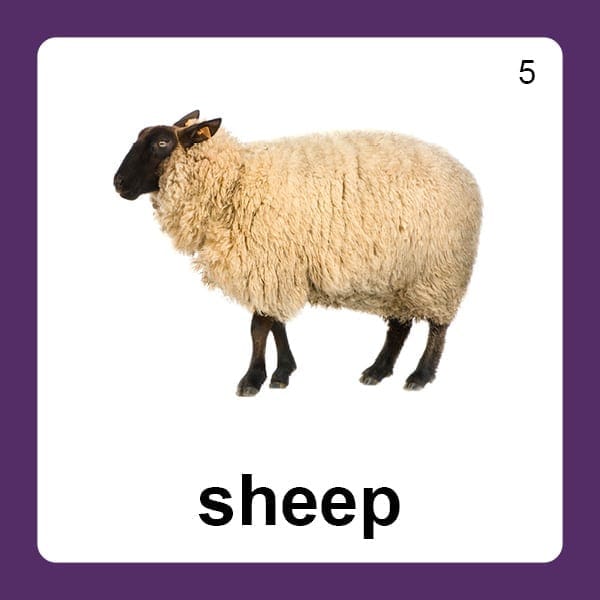 Speech Corner Articulation Cases - Image 6