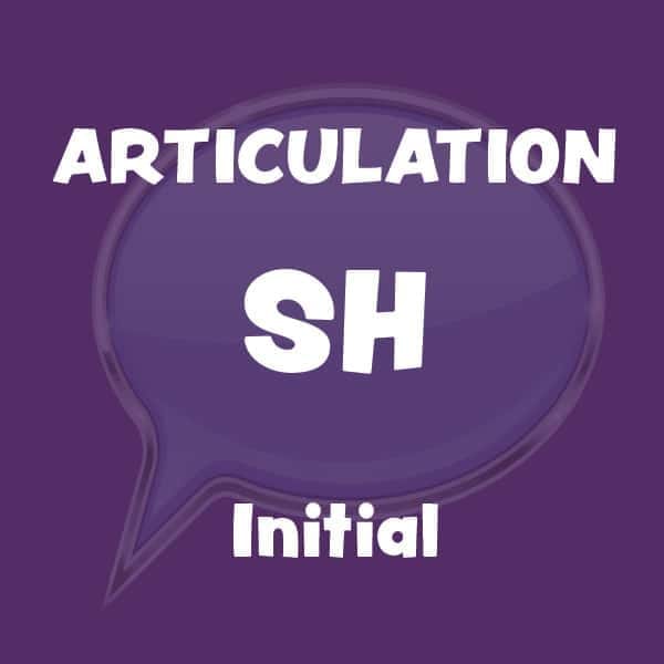 Speech Corner Articulation Cases - Image 7