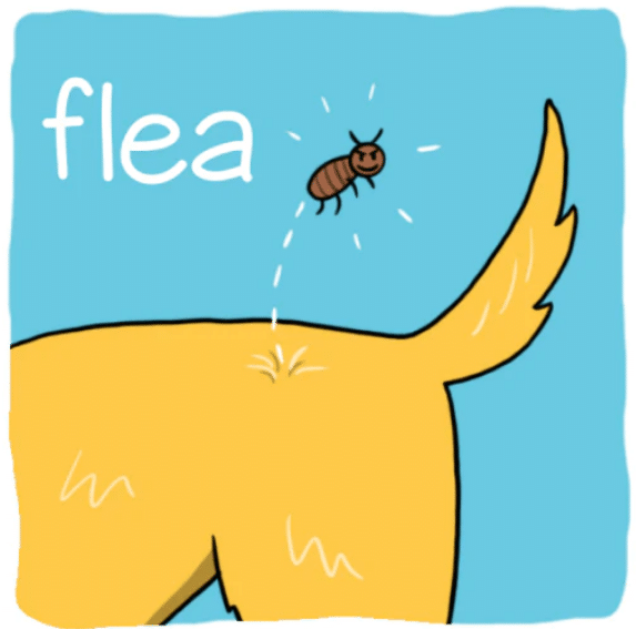 Bjorem—Complexity Approach Bundle - Image 11