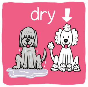 Bjorem—2-Element Clusters for the Complexity Approach Deck 2 - Image 7