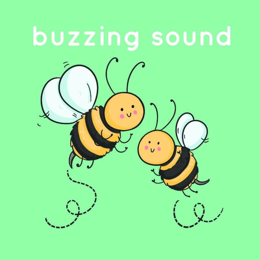 Bjorem Minimal Pairs: Voicing - Image 9