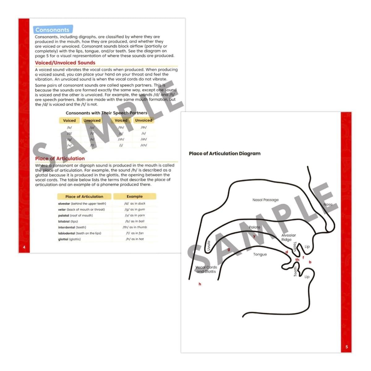 3D Sounds and Phonics Cards - Image 15