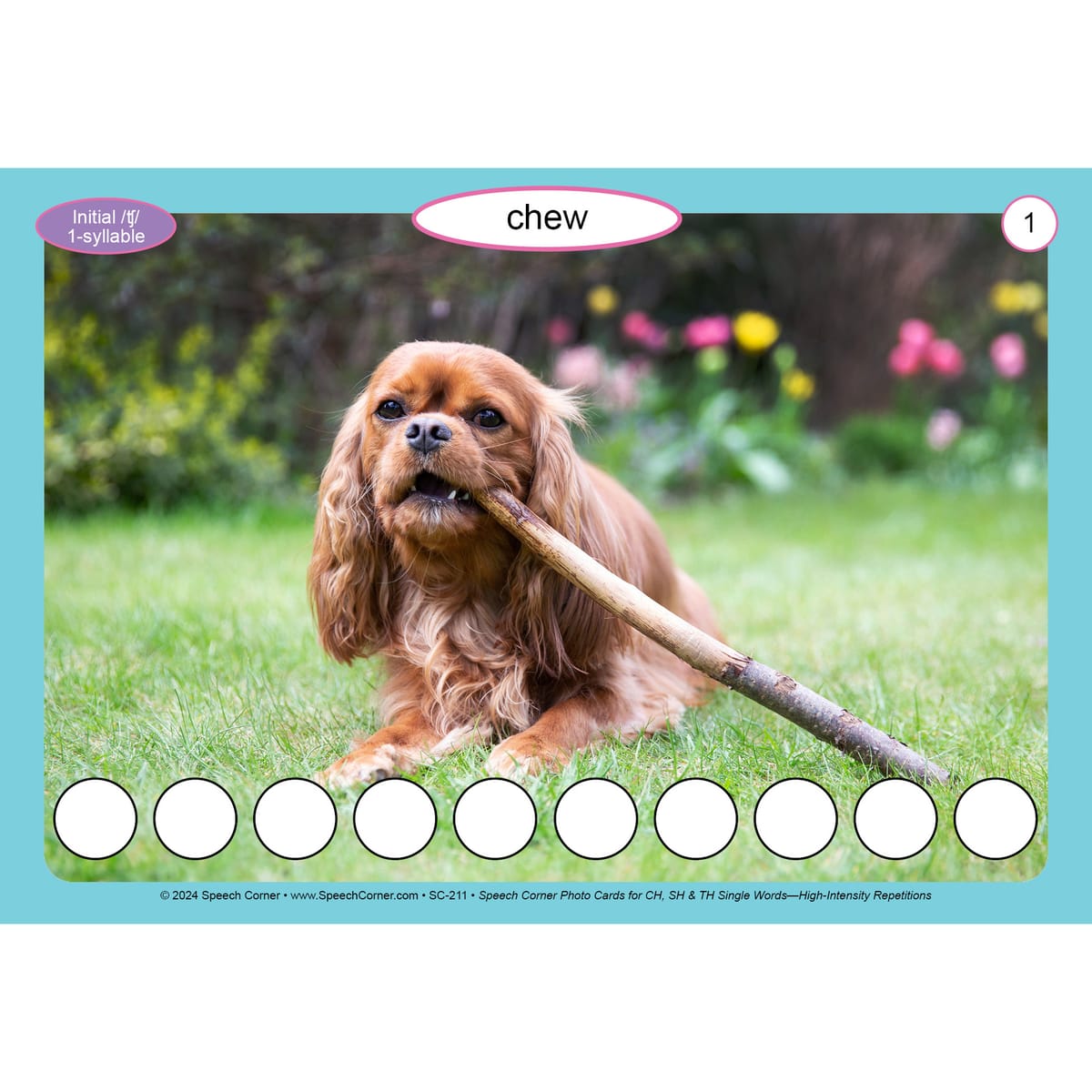 Speech Corner Photo Card Bundle Single Words— High-Intensity Repetitions Set #1 - Image 9