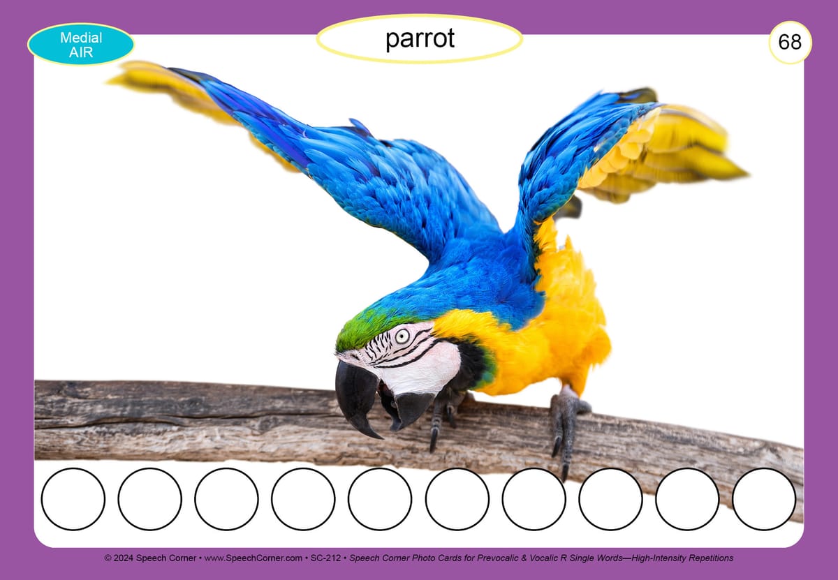 Speech Corner Photo Card Bundle Single Words— High-Intensity Repetitions Set #1 - Image 20