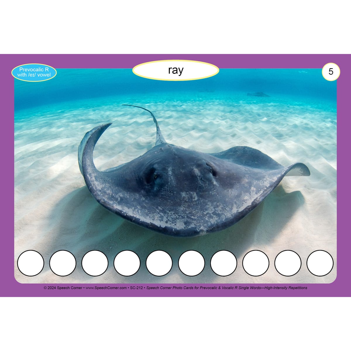 Speech Corner Photo Card Bundle Single Words— High-Intensity Repetitions Set #1 - Image 17